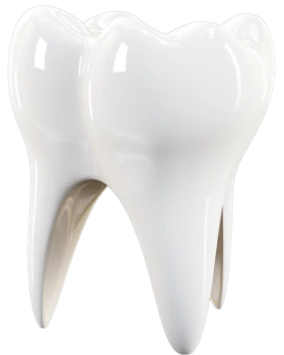 Um dente ilustrativo